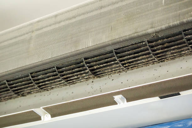 Best Duct Cleaning for Homes  in USA